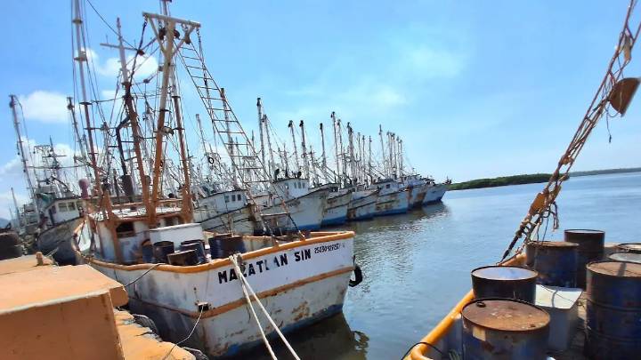 ¡No quieren otro ‘Ismael’! Barcos camaroneros se resguardan en Mazatlán por huracán ‘Priscilla’