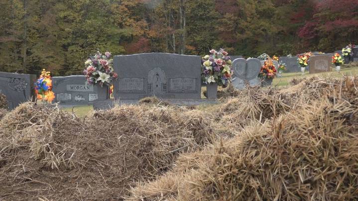 Wild hogs causing damage in rural Anderson County