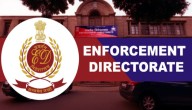 ED Charges Youtuber Elvish Yadav, Singer Fazilpuria Under Wildlife Crime, Money Laundering
