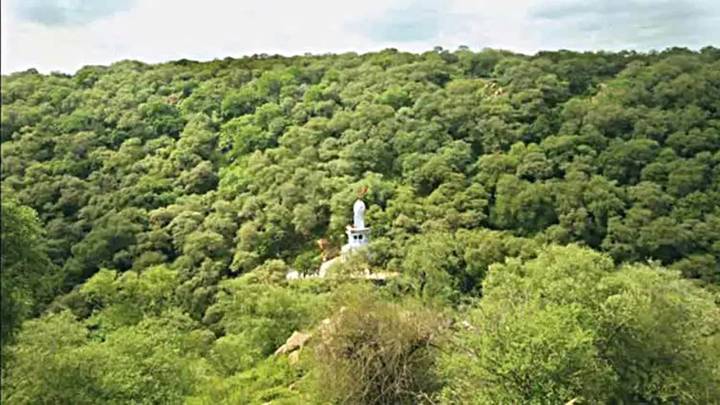 After 5 trekkers who lost way traced, forest official urges tourists: ‘Take local residents’ help in navigating Tungai Hills’