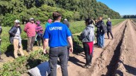 Detectaron irregularidades laborales en trabajadores rurales bonaerenses y fiscalizarán más regiones del país