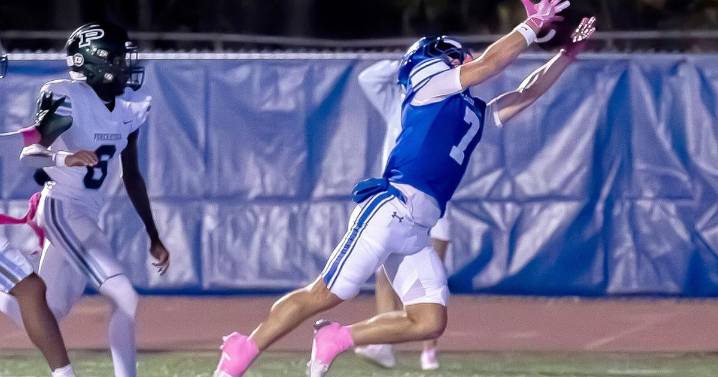 Find out how your favorite St. Tammany football team did during Week 8