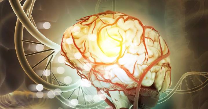 Scientists unearth 'secret' sixth sense within humans which is 'vital' for health