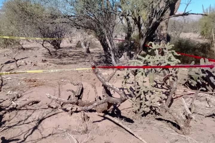 Continúa búsqueda en San Juan de la Costa tras hallazgo de fosas clandestinas: Gobernador Castro ...