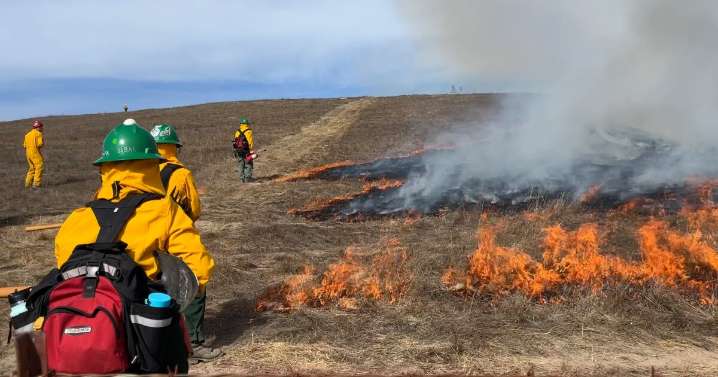 Cal Poly students feel the burn helping with university's first prescribed burn