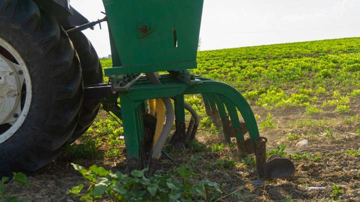 Georgia farmers await federal grants as growing season passes