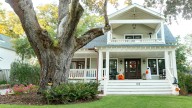 Transform Any Tree Into A Spooky Monster With This Fun Halloween Hack