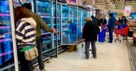 Cencosud planea adquirir Carrefour: estrategia para dominar el 30% del mercado minorista en Argentina