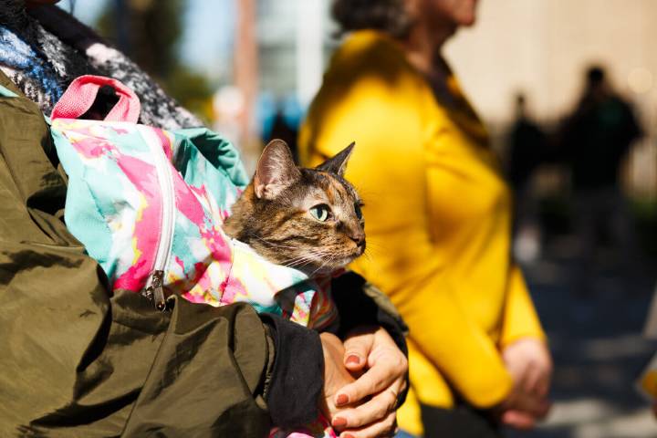 Things to do this weekend in NYC, Oct. 3