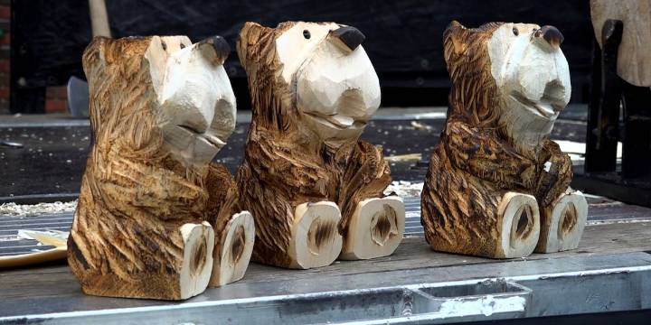 Chainsaw artist carves wooden bears at Go Outside Festival