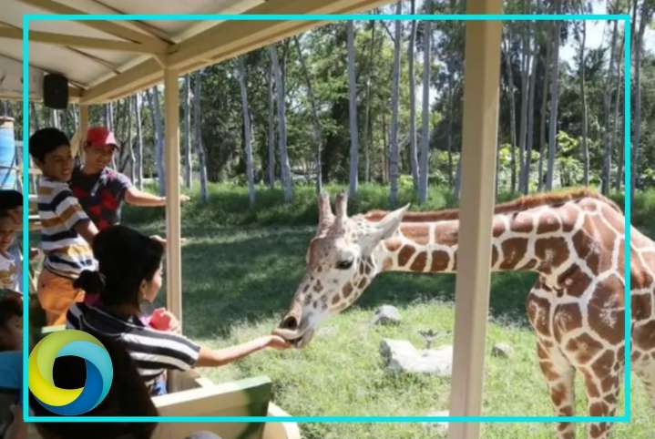 Zoológico de Guadalajara es refugio de 300 especies; 85% estan en peligro de extinción