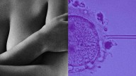 Content Creator Bridget Bahl Started IVF—and Came Away With a Cancer Diagnosis