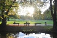 7 Free Hobbies to Try in Washington Without Spending a Dime
