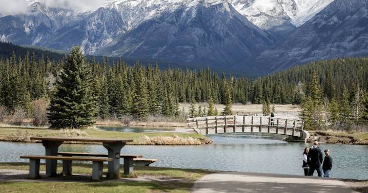 How Parks Canada plans to mitigate congestion in Banff National Park