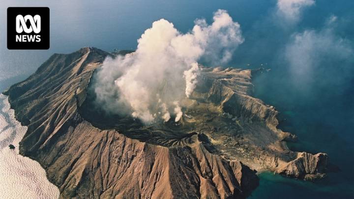 Whakaari eruption inquest hears frustrated families call for answers