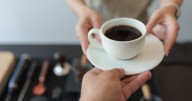 Todo lo que necesitas saber si eres fan del café