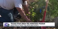 Truckee River Urban Tree Workforce Program