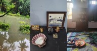 ‘A companion in quiet corners of life’: My grandmother’s hidden rebellion in reading Taslima Nasrin