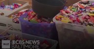 Trick-or-treaters can expect more gummy and fruit candy due to high price of cocoa