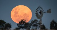 Celestial triple treat: how to get best view for a rare Supermoon