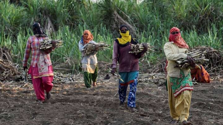 Inflation For Agricultural, Rural Labourers Eases In September 2025; Details Here