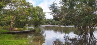 Víctimas de la guerrilla en Puerto Alvira (Meta) recibirán compensación por predio abandonado hace 27 años
