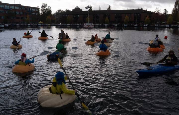 Giant, floating pumpkin races draw large crowds to annual event in Oregon