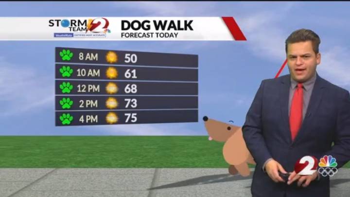 Cooling into the midweek, when will rain move in?