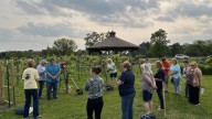 New Monroe club plants pumpkins and seeds of inclusion