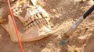 DNA analysis reveals likely pathogens that killed Napoleon’s army