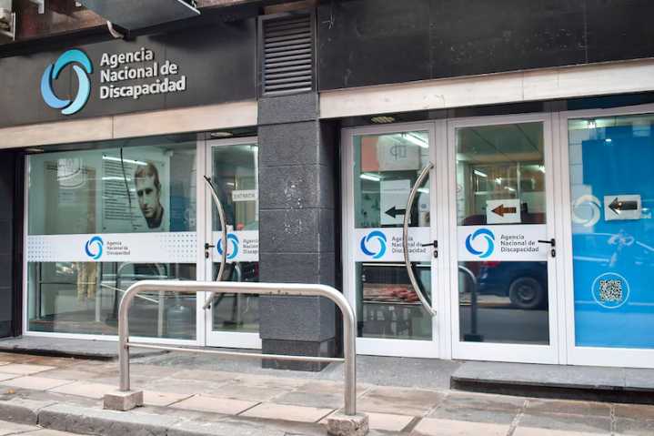 Presentaron un amparo para que la ANDIS devuelva las pensiones por discapacidad suspendidas en todo el país