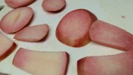 Kissabel Apples are Red and Pink Inside