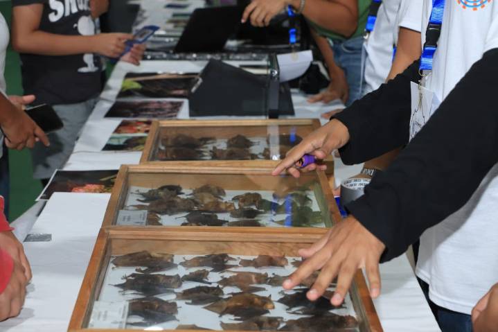 Realiza Ucú su Primer Festival del Murciélago: no hay que temerles