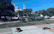 El tiempo hoy en Entre Ríos: Domingo fresco con cielo despejado