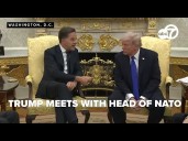 President Donald Trump meets with the head of NATO