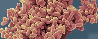 A New Class of Drug Created That Fights Aging on a Cellular Level