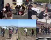 Verdad o Mito: ¿Los migrantes detenidos por ICE reciben un trato digno?
