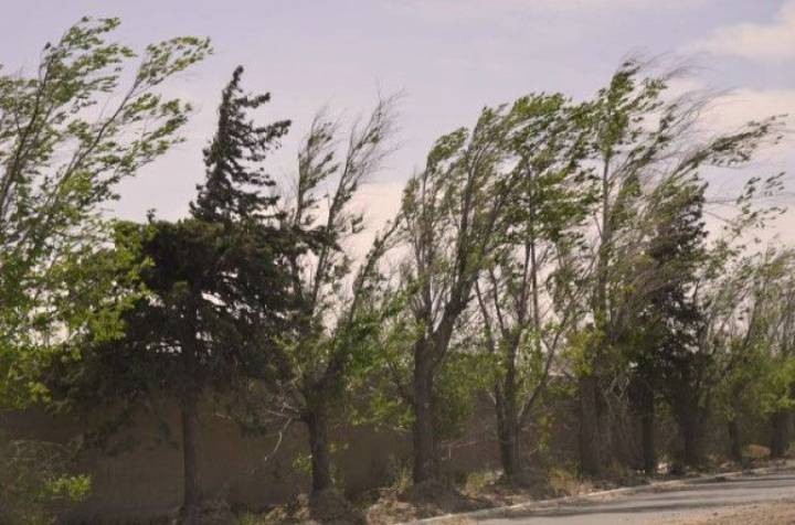 Alerta por vientos fuertes en el centro y norte de San Luis