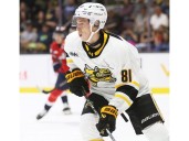 Sarnia Sting sniper Beckham Edwards ready for floodgates to open