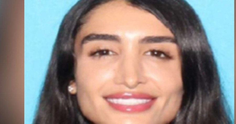 'Playboy,' 'Penthouse' model accused in string of high