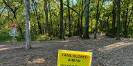 Portion of popular park to close for tree maintenance in Franklin