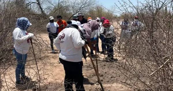 Hallan 60 cuerpos en un predio de Hermosillo