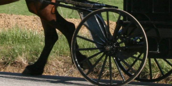 Woman killed after truck slams into buggy in Geauga County