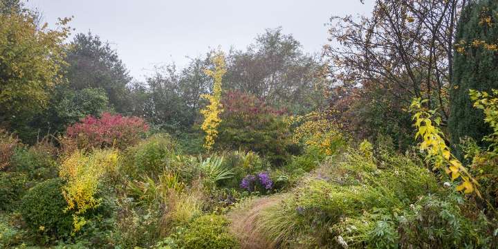 7 Plants I Bring Indoors for Winter (and 5 Not Worth the Trouble)