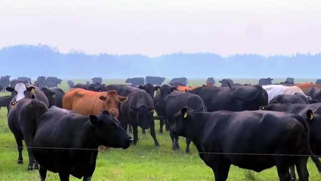 U.S. Senate candidate Josh Turek opposes importing beef from Argentina