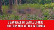3 Bangladeshi Cattle Lifters Killed in Mob Attack in Tripura