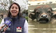 Parque de las Leyendas le responde a Guido Bellido tras proyecto que busca cerrar zoológicos