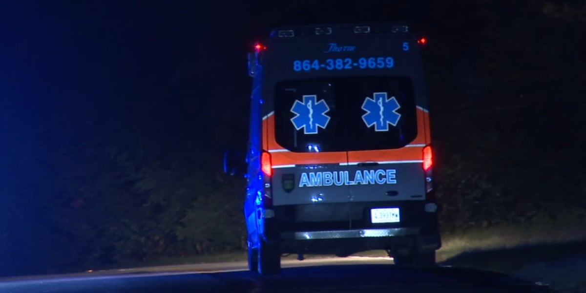 2 hospitalized after small aircraft crashes in South Carolina