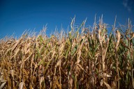 Vermont officials ask for statewide disaster designation amid ongoing drought