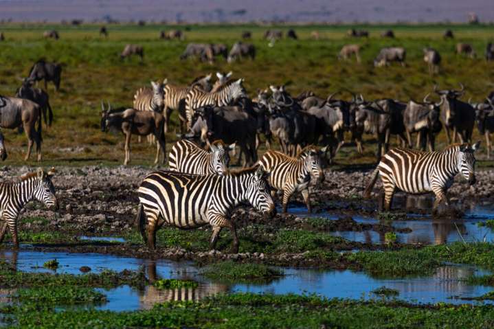 The Scientists Making the Case for Nature’s Rights